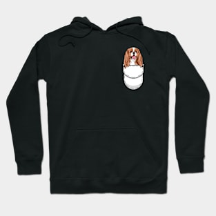 Funny Cavalier King Charles Spaniel Pocket Dog Hoodie